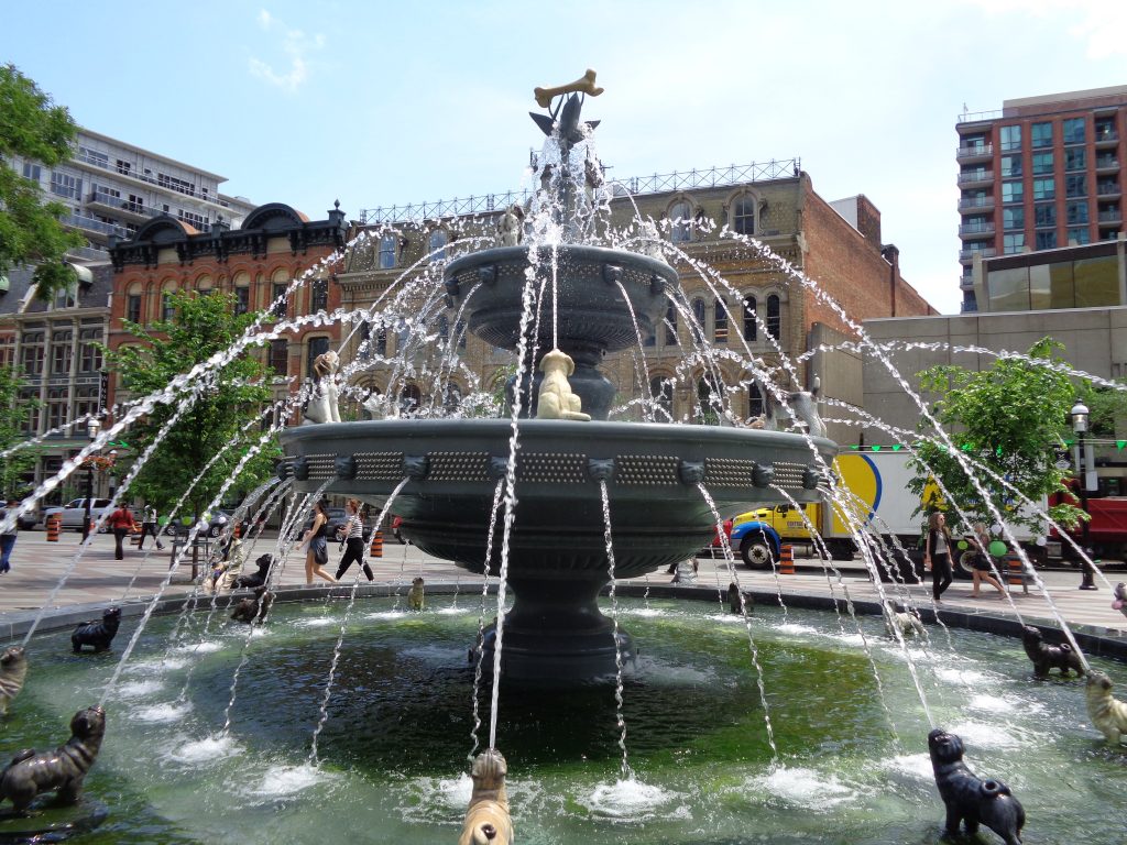 Dog park fountains online